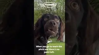 When you go to mark the pitch and there's no paint left...
