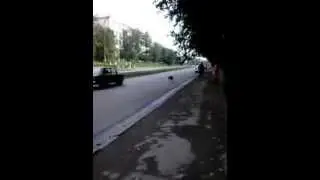 суровые челябинские собаки