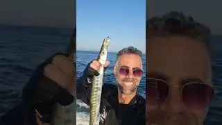 יום שני חזרה קצת לדייג זרזור  מהחוף אחרי חודש של טונות בעומק. ברקודה בחושך של אור ראשון.