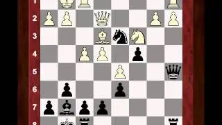 Garry Kasparov at age 16: GM Roman Hernandez vs Garry Kasparov - Banja Luka 1979