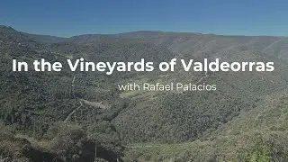 In the Vineyard with Rafael Palacios