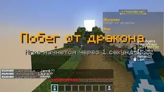 Minecraft party