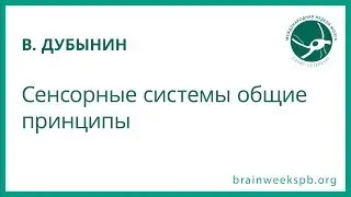 Сенсорные системы: общие принципы