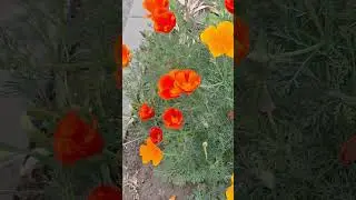 11 мая 2024 г.