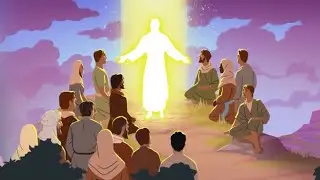 Did Jesus Come Back from the Dead? (Wonder Series)