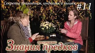 Секреты хризантем, индюшек и пышек. Программа "Знания предков". Выпуск #11
