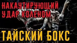 Как пробить накаутирующий удар коленом в прыжке в тайском боксе. Тайский бокс дома.