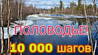 ПОЛОВОДЬЕ.10 000 ШАГОВ. Добро пожаловать! Наслаждайтесь активным отдыхом в это фантастическом месте.