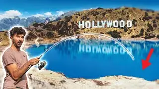 Was lebt in diesem glasklaren See? Angeln in Hollywood 🇺🇸 NON-STOP #1