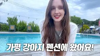 가평 강아지 펜션에 다녀왔어요! 외국인의 가평 반응