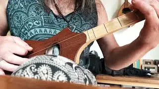 The Godin Seagull merlin