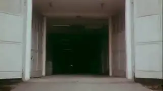 Доня и Микки выезд шефа