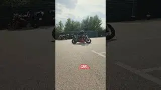 #gp8