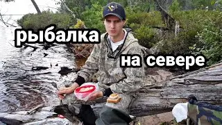 Рыбалка на севере. Архангельская область. Змеиное Озеро.