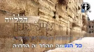 אייל גולן - הללויה קריוקי IL