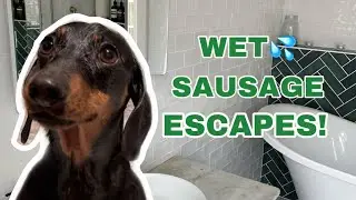 Beach Stay-cay Vlog 🏖️🛁🐚