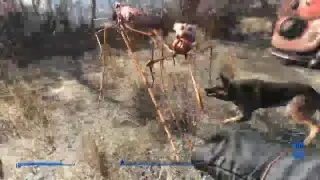 Fallout 4 l don't know how l got mods