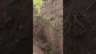 Итог раскопок болванки порадовал #коп #металлокоп #металлолом #хобби #приборныйпоиск