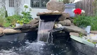 ASMR Outside🌿🤍 {No Talking}