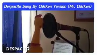 despacito chicken version-despacito is ded but this is amazing Credit to Franco