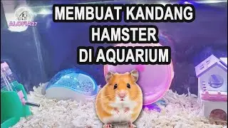 MEMBUAT KANDANG HAMSTER DI AQUARIUM