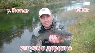Отпуск в деревне на севере. Рыбалка.  Хариус на тирольку, ультралайт. р. ВИЛЕДЬ #рыбалка#хариус