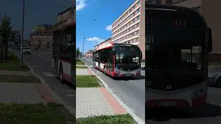 PILSEN | City bus 🚍 near Borský park - 4K #citybus