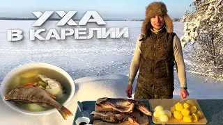 Уха в Карелии! Уха на костре! Готовлю на природе!
