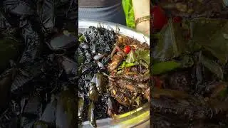 Spożywcze robaki i insekty