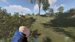 RUST HAS INVISIBLE ANIMALS NOW?