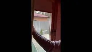 Рулонные шторы UNI Blackout - Цепочка