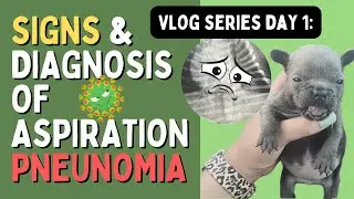 VLOG: Day 1 - Aspiration Pneumonia in Puppies