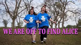 Have you seen Alice?