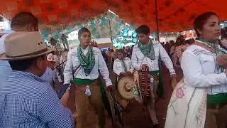 Danza de arrieros sta maria virgen de guadalupe zacamulpa