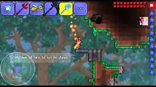 Multi Terraria Part 2 IT'S A TRAP