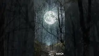 ЧТО НУЖНО ДЬЯВОЛУ?