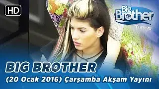 Big Brother Türkiye | 71. Bölüm | 20 Ocak 2016 | Çarşamba | Akşam Yayını