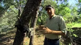 Stealth Cam Setup - Check Your Surroundings To Get Better Pictures