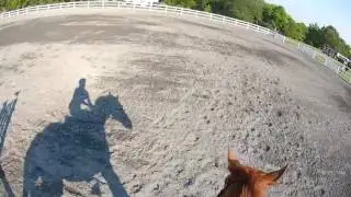 Twilight Eventing Show Jumping Helmet Cam 8-3-16