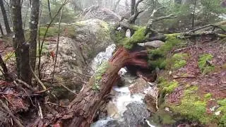 Canon PowerShot SX210 IS 720p HD Video Sample #2