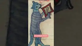 Os gatos medievais bizarros 🐈 | Momento história da arte
