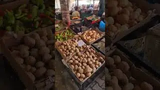Learn Albanian with Viola. Elbasan market
