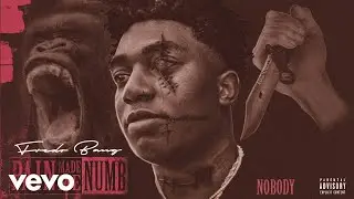 Fredo Bang - Nobody (Audio)
