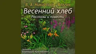 Митрошка (В.А. Никифоров-Волгин)