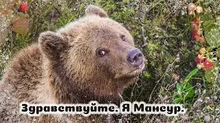 Саша и Мансур