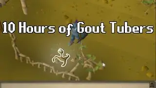 10 Hours of Gout Tubers (what are these?) - OSRS Challenge