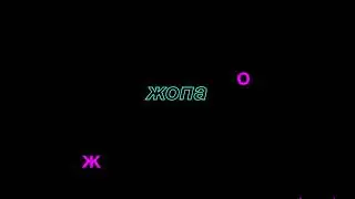 жопа