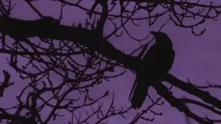 Sub urban - MERCURY -Lyrics video-
