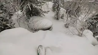 Сибирская Колумбия