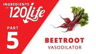 Beetroot – Ingredients of 120/Life